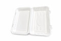 Reign Goods eco bagasse food containers, 10x6 inches, compostable fish and chip takeaway boxes for eco-friendly packaging.