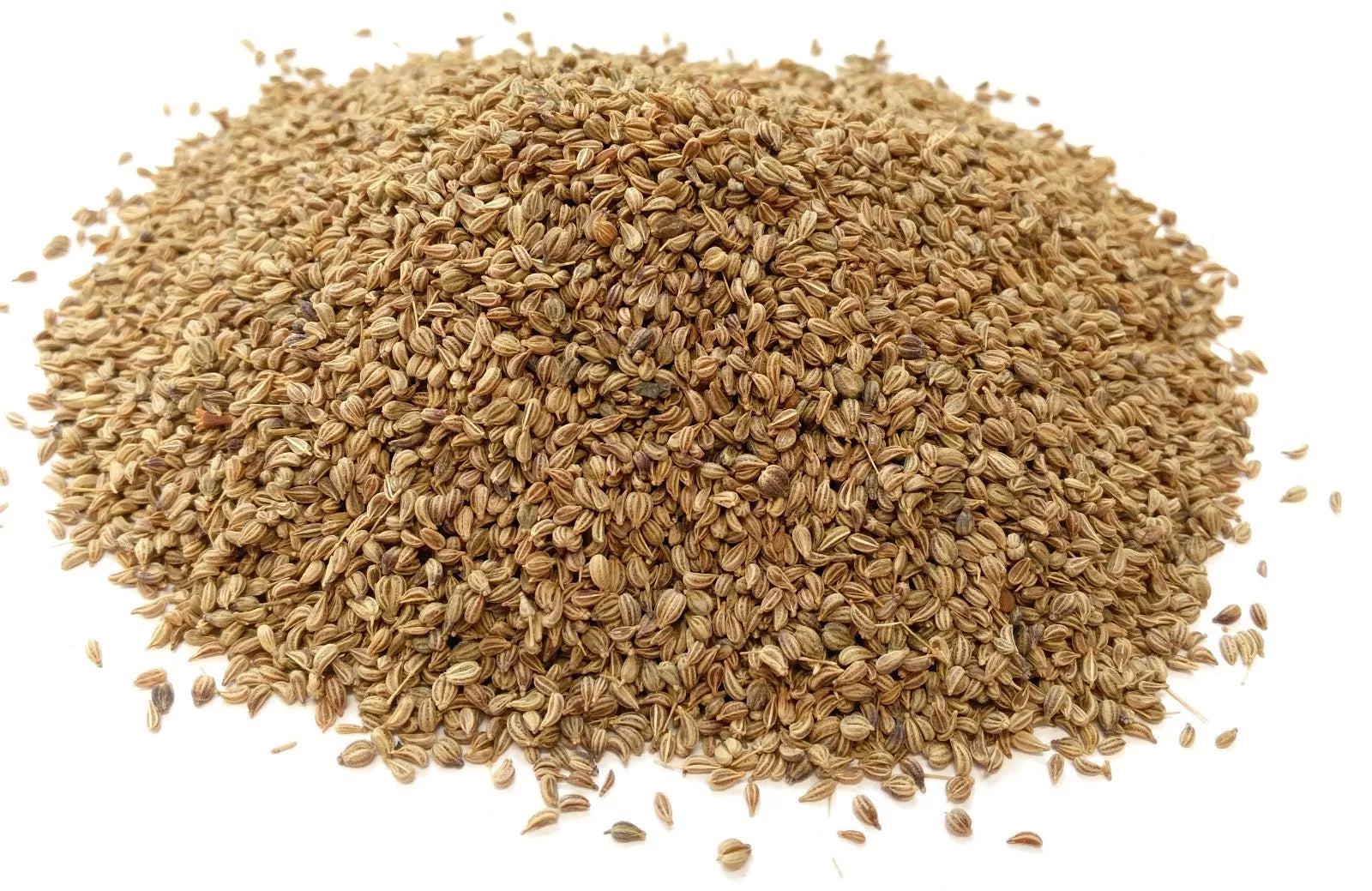 Reign Goods Supreme Ajwain Seeds, 300g, whole carom seeds for cooking and baking, in a clear spice jar.