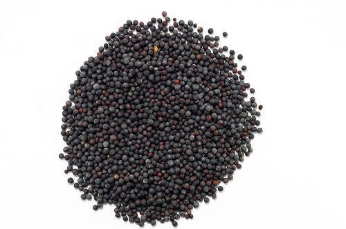 Reign Goods Supreme Mustard Seeds 1kg, whole yellow mustard seeds for cooking and pickling, spice and herb product.