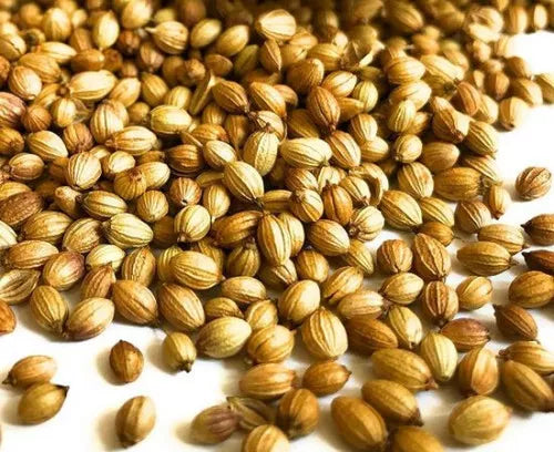 Supreme coriander seeds 700g, whole dried spices for cooking and spice blends, in a clear container with fresh seeds inside.