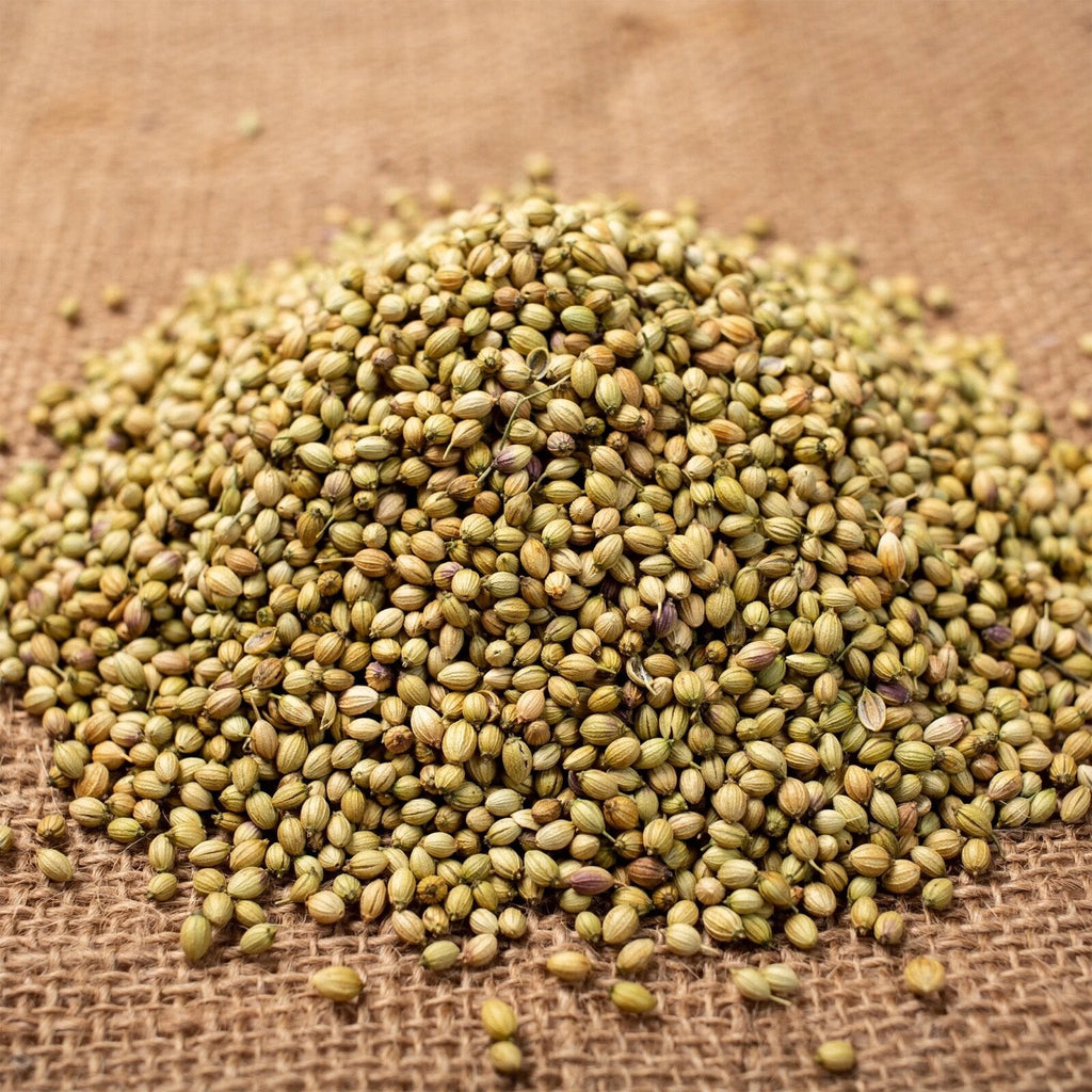 Whole dried Supreme Coriander Seeds, 700g, a spice used in cooking and spice blends, shown in a clear image.