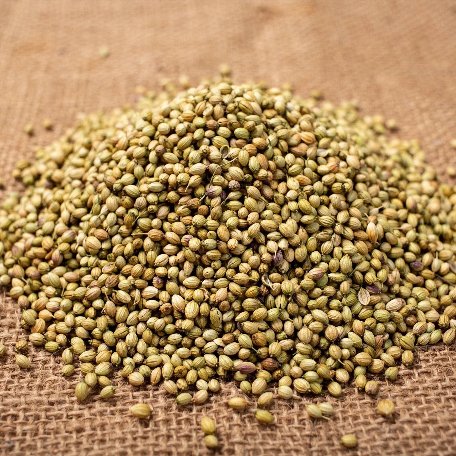 Whole dried Supreme Coriander Seeds, 700g, a spice used in cooking and spice blends, shown in a clear image.
